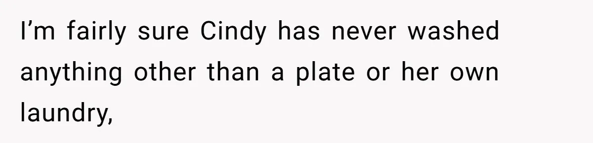 I’m fairly sure Cindy has never washed anything other than a plate or her own laundry,
