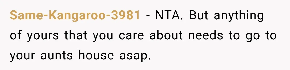 Daughter Takes Mom’s Belongings From Trash After Stepmom Tries To Throw Them Away Same-Kangaroo-3981 − NTA. But anything of yours that you care about needs to go to your aunts house asap.