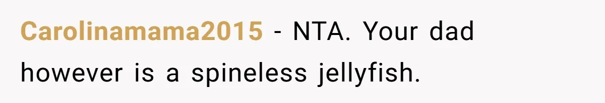 Daughter Takes Mom’s Belongings From Trash After Stepmom Tries To Throw Them Away Carolinamama2015 − NTA. Your dad however is a spineless jellyfish.
