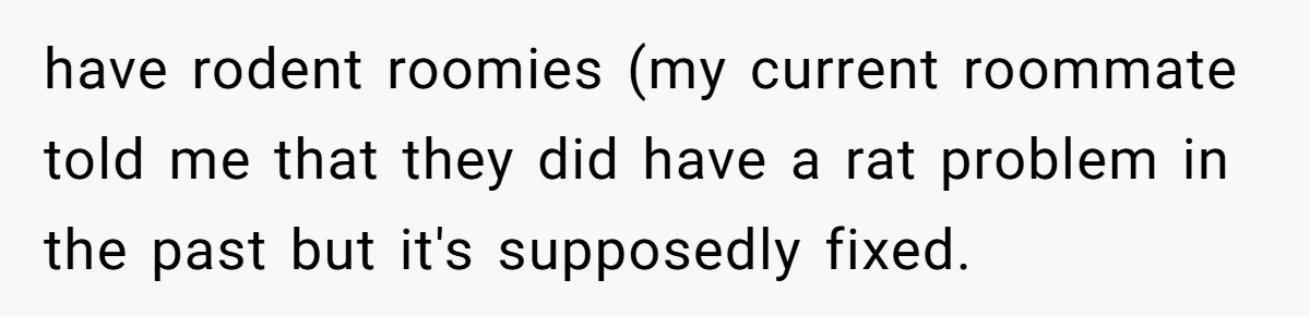have rodent roomies (my current roommate told me that they did have a rat problem in the past but it's supposedly fixed.
