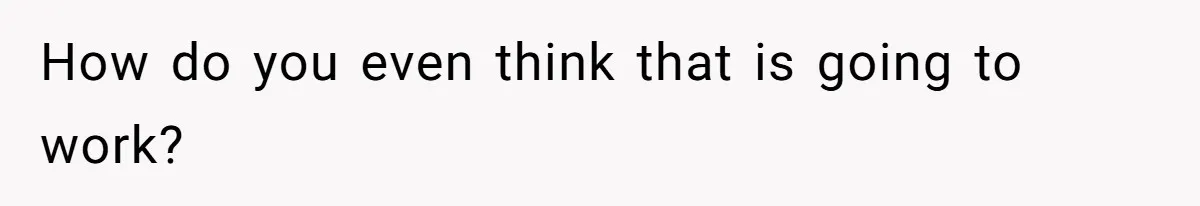 How do you even think that is going to work?