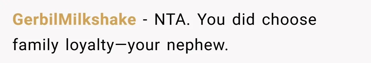 GerbilMilkshake − NTA. You did choose family loyalty—your nephew.