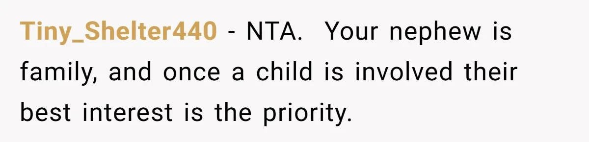 Tiny_Shelter440 − NTA.  Your nephew is family, and once a child is involved their best interest is the priority.