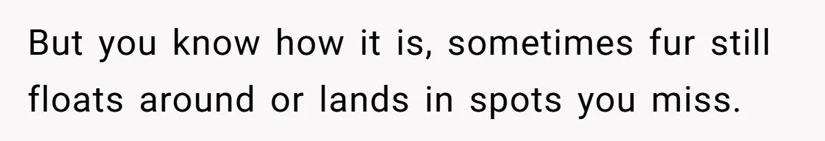 But you know how it is, sometimes fur still floats around or lands in spots you miss.