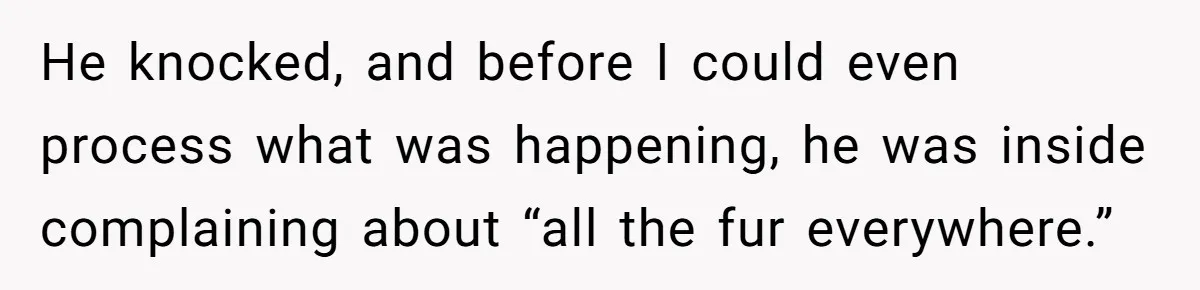 He knocked, and before I could even process what was happening, he was inside complaining about “all the fur everywhere.”