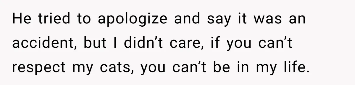 He tried to apologize and say it was an accident, but I didn’t care, if you can’t respect my cats, you can’t be in my life.