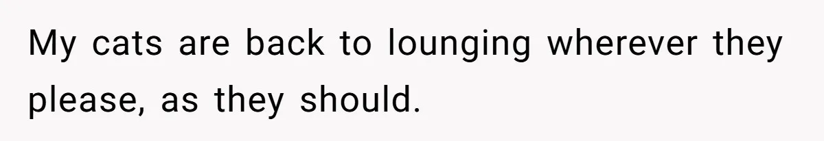My cats are back to lounging wherever they please, as they should.