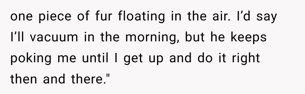 one piece of fur floating in the air. I’d say I’ll vacuum in the morning, but he keeps poking me until I get up and do it right then and...