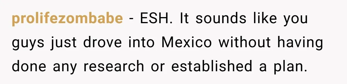 prolifezombabe − ESH. It sounds like you guys just drove into Mexico without having done any research or established a plan.