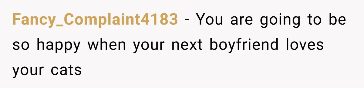 Fancy_Complaint4183 − You are going to be so happy when your next boyfriend loves your cats
