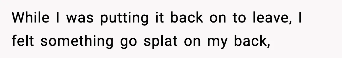 While I was putting it back on to leave, I felt something go splat on my back,