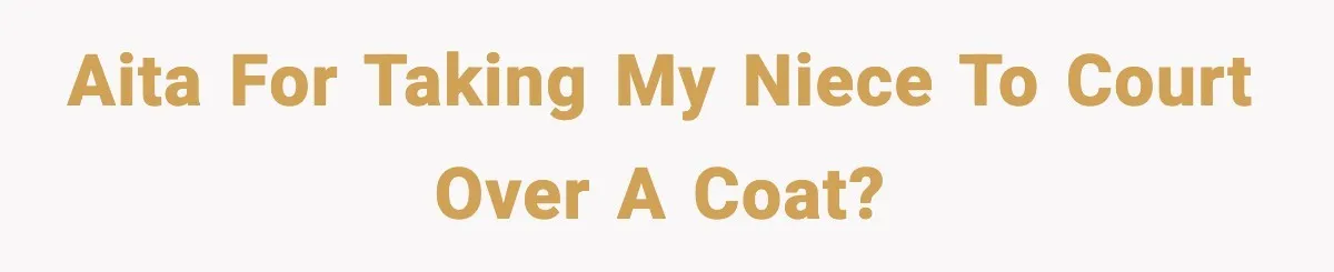 AITA for taking my niece to court over a coat?