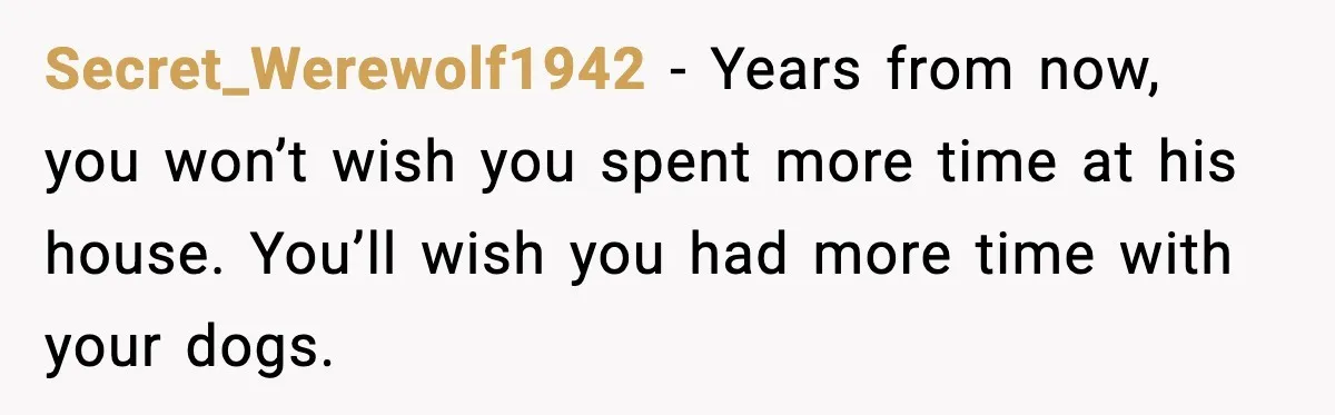 Secret_Werewolf1942 - Years from now, you won’t wish you spent more time at his house. You’ll wish you had more time with your dogs.