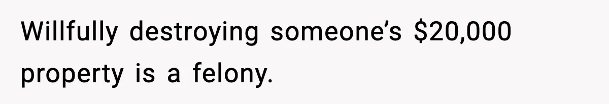 Willfully destroying someone’s $20,000 property is a felony.
