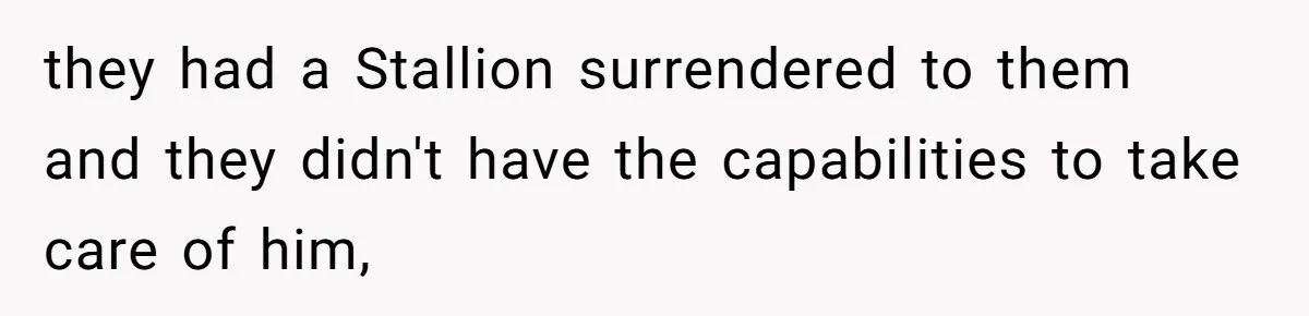 Horse Breeder Sends Little Sister Vet Bill After She Tried To Breed Stallion Without Permission they had a Stallion surrendered to them and they didn't have the capabilities to take care of him,
