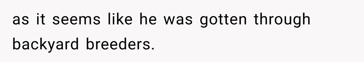 Horse Breeder Sends Little Sister Vet Bill After She Tried To Breed Stallion Without Permission as it seems like he was gotten through backyard breeders.