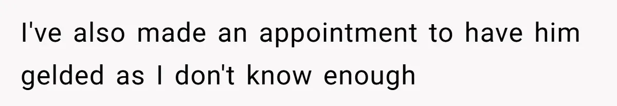 Horse Breeder Sends Little Sister Vet Bill After She Tried To Breed Stallion Without Permission I've also made an appointment to have him gelded as I don't know enough