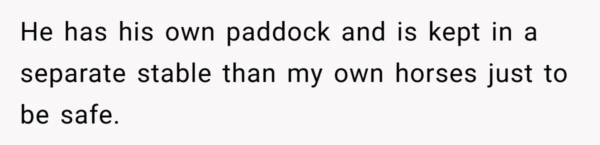 Horse Breeder Sends Little Sister Vet Bill After She Tried To Breed Stallion Without Permission He has his own paddock and is kept in a separate stable than my own horses just to be safe.