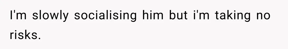 Horse Breeder Sends Little Sister Vet Bill After She Tried To Breed Stallion Without Permission I'm slowly socialising him but i'm taking no risks.