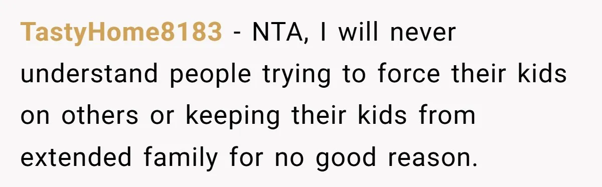 TastyHome8183 − NTA, I will never understand people trying to force their kids on others or keeping their kids from extended family for no good reason.