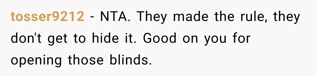 Family Calls This Man “Dangerous” After A Breakdown, Then Blames His Wife For Choosing Him tosser9212 − NTA. They made the rule, they don't get to hide it. Good on you for opening those blinds.