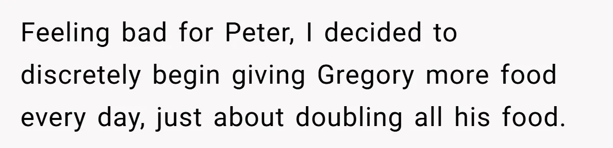 Feeling bad for Peter, I decided to discretely begin giving Gregory more food every day, just about doubling all his food.