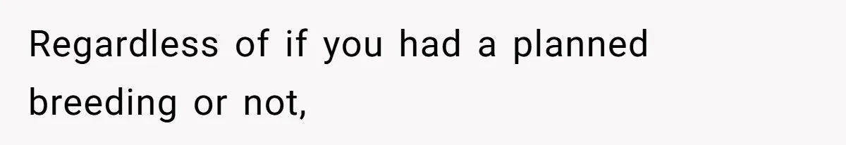 Horse Breeder Sends Little Sister Vet Bill After She Tried To Breed Stallion Without Permission Regardless of if you had a planned breeding or not,