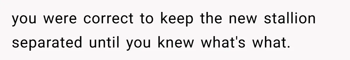 Horse Breeder Sends Little Sister Vet Bill After She Tried To Breed Stallion Without Permission you were correct to keep the new stallion separated until you knew what's what.