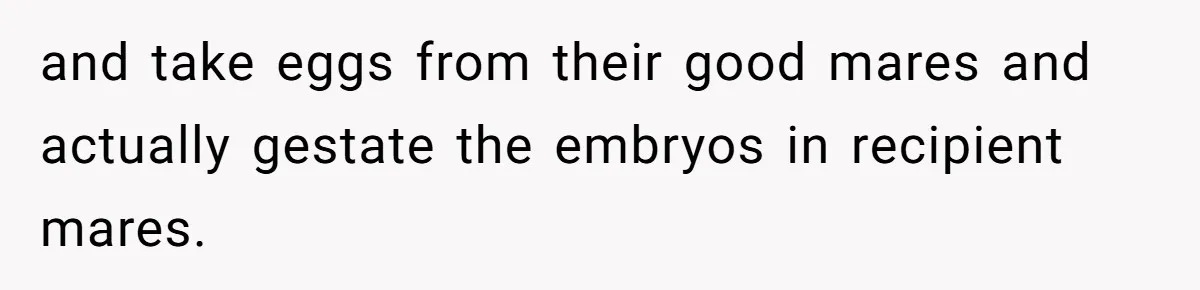 Horse Breeder Sends Little Sister Vet Bill After She Tried To Breed Stallion Without Permission and take eggs from their good mares and actually gestate the embryos in recipient mares.