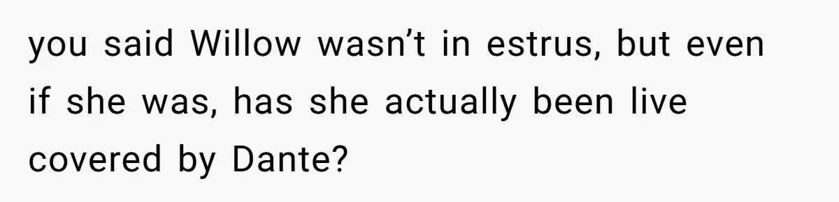 Horse Breeder Sends Little Sister Vet Bill After She Tried To Breed Stallion Without Permission you said Willow wasn’t in estrus, but even if she was, has she actually been live covered by Dante?