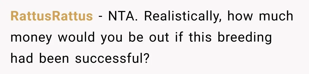 Horse Breeder Sends Little Sister Vet Bill After She Tried To Breed Stallion Without Permission RattusRattus − NTA. Realistically, how much money would you be out if this breeding had been successful?