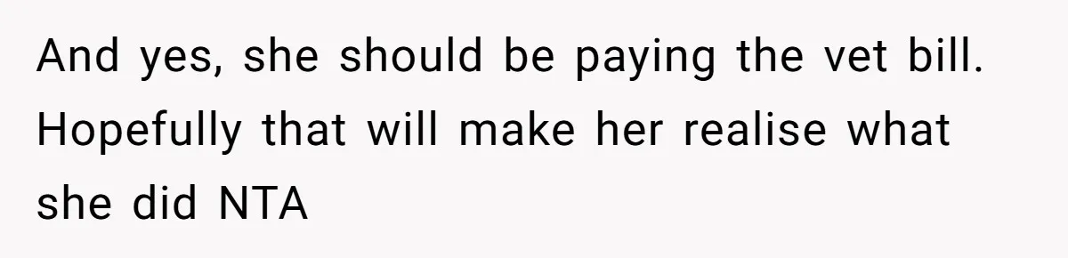 Horse Breeder Sends Little Sister Vet Bill After She Tried To Breed Stallion Without Permission And yes, she should be paying the vet bill. Hopefully that will make her realise what she did NTA