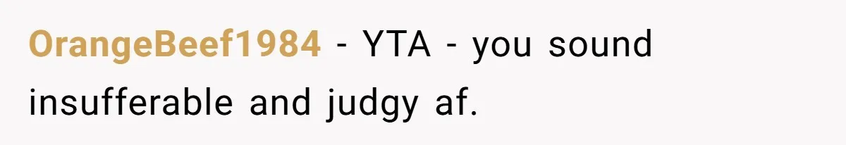 OrangeBeef1984 − YTA - you sound insufferable and judgy af.