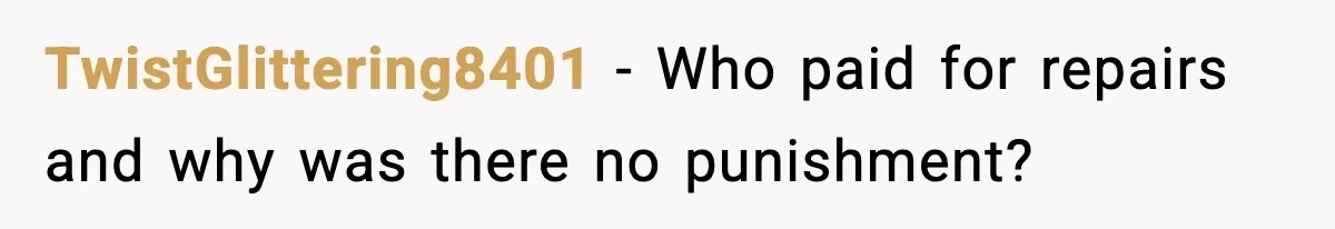 TwistGlittering8401 - Who paid for repairs and why was there no punishment?