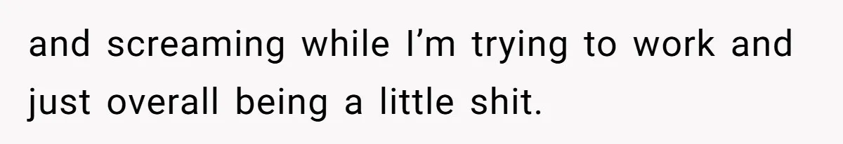Man Cuts Off Family After Brother And SIL Demand Free Childcare Then Insist He Pay For Daycare When He Refuses and screaming while I’m trying to work and just overall being a little shit.