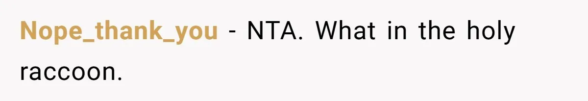 Man Cuts Off Family After Brother And SIL Demand Free Childcare Then Insist He Pay For Daycare When He Refuses Nope_thank_you − NTA. What in the holy raccoon.