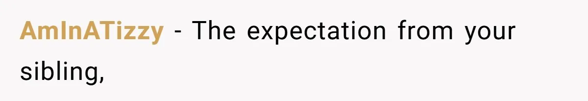 Man Cuts Off Family After Brother And SIL Demand Free Childcare Then Insist He Pay For Daycare When He Refuses AmInATizzy − The expectation from your sibling,