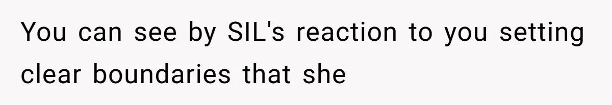 Man Cuts Off Family After Brother And SIL Demand Free Childcare Then Insist He Pay For Daycare When He Refuses You can see by SIL's reaction to you setting clear boundaries that she