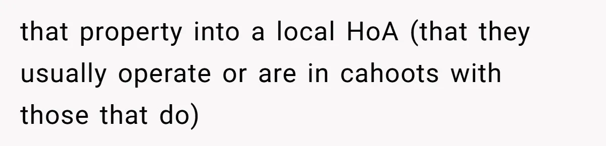 Developer Harassed My Tenants And Tried To Force An HOA, Then Got Sued And Paid Millions In Fines that property into a local HoA (that they usually operate or are in cahoots with those that do)