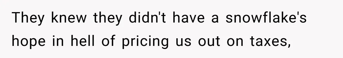 Developer Harassed My Tenants And Tried To Force An HOA, Then Got Sued And Paid Millions In Fines They knew they didn't have a snowflake's hope in hell of pricing us out on taxes,