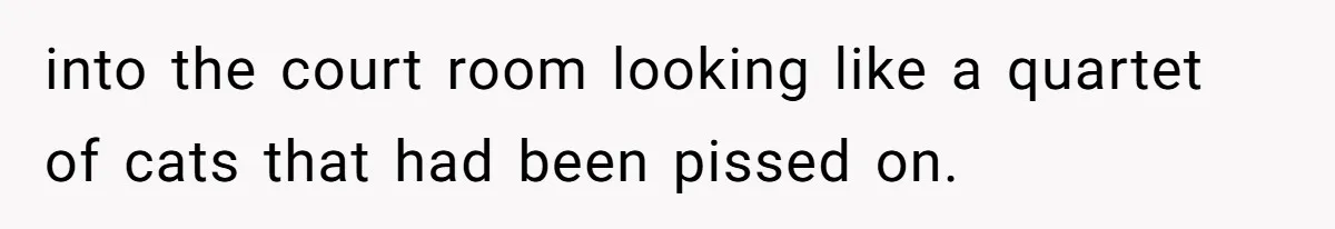 Developer Harassed My Tenants And Tried To Force An HOA, Then Got Sued And Paid Millions In Fines into the court room looking like a quartet of cats that had been pissed on.