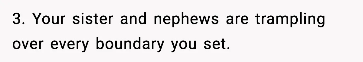 3. Your sister and nephews are trampling over every boundary you set.
