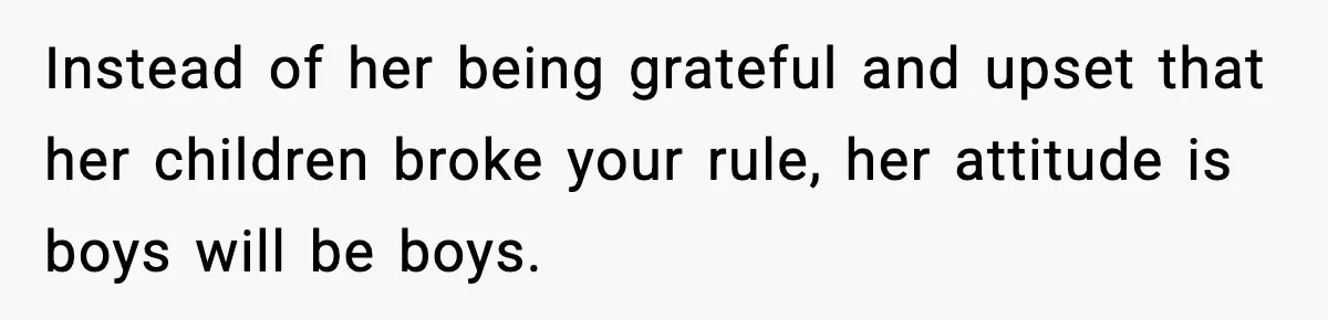 Instead of her being grateful and upset that her children broke your rule, her attitude is boys will be boys.