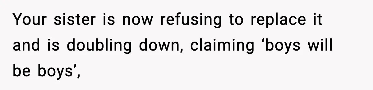 Your sister is now refusing to replace it and is doubling down, claiming ‘boys will be boys’,