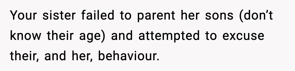 Your sister failed to parent her sons (don’t know their age) and attempted to excuse their, and her, behaviour.