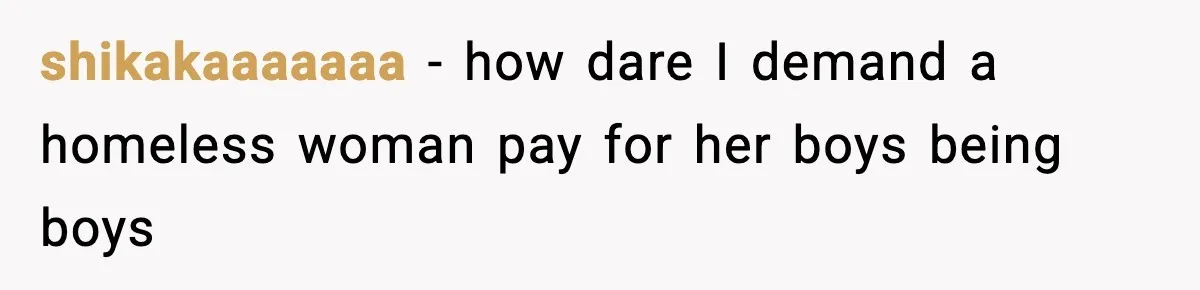 shikakaaaaaaa −  how dare I demand a homeless woman pay for her boys being boys
