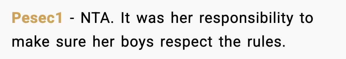 Pesec1 − NTA. It was her responsibility to make sure her boys respect the rules.