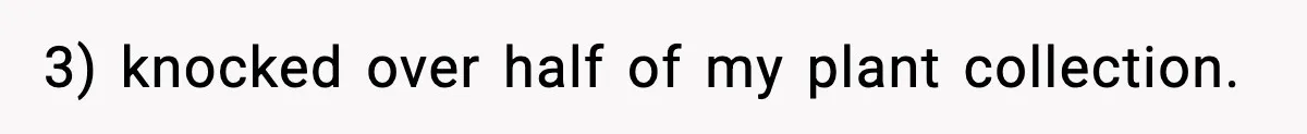 3) knocked over half of my plant collection.