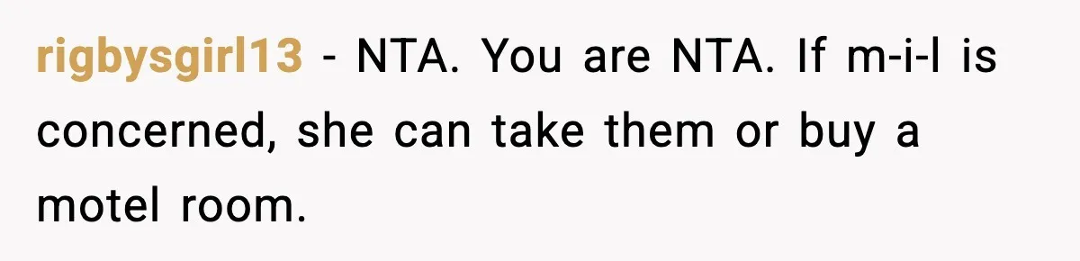 rigbysgirl13 − NTA. You are NTA. If m-i-l is concerned, she can take them or buy a motel room.