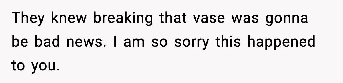 They knew breaking that vase was gonna be bad news. I am so sorry this happened to you.